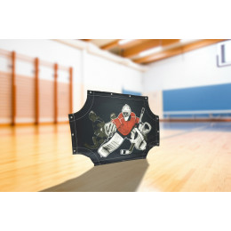 Имитатор вратаря (Хоккейный тренажер)