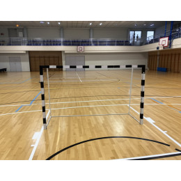 Ворота 2х3м (профиль 60х60мм) со стаканами для мини-футбола/гандбола