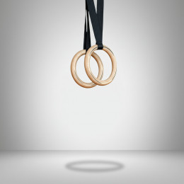 Кольца гимнастические с тросом 2 метра